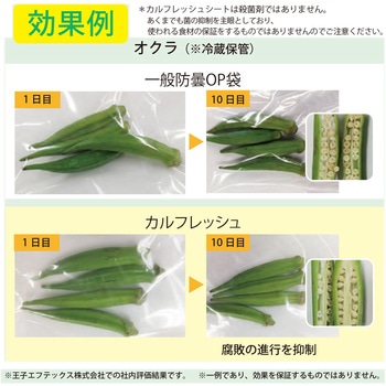 カルフレッシュ抗菌鮮度保持袋 服部