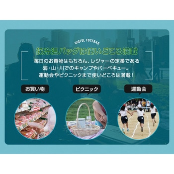 コンパクトに畳める保冷温買物バック アイメディア