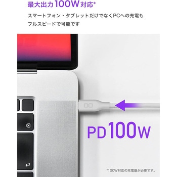 柔らかいシリコンケーブル C to C(Type-C/USB-C) 100W USB PD 2m ホワイト CIO