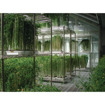 エレクタースーパーシリーズ(ステンレスワイヤーシェルフ/間口1212mmタイプ) ERECTA(エレクター)
