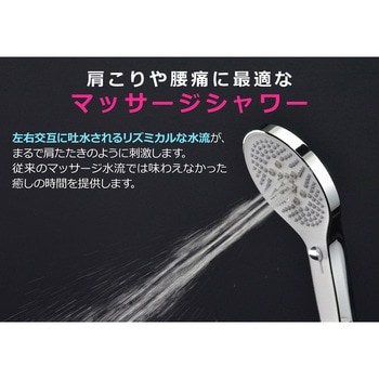 これエエやん ガオナ 3段切替シャワーヘッド ホース付き 薄型 高級感 マッサージ ミスト 新感覚 アダプター付き メタリック 取付簡単 節水 GAONA(ガオナ)