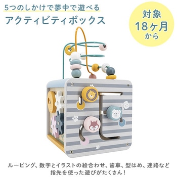 アクティビティボックス PolarB