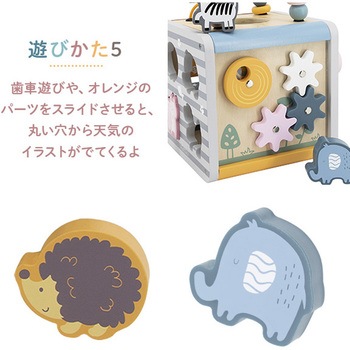 アクティビティボックス PolarB