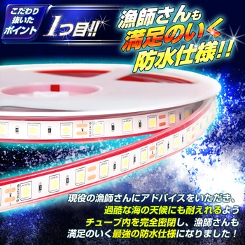 LEDテープライト SMDタイプ 5m 最強 防水 24v 専用 竹村商会