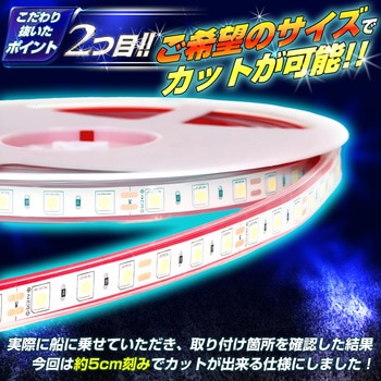 LEDテープライト SMDタイプ 5m 最強 防水 24v 専用 竹村商会