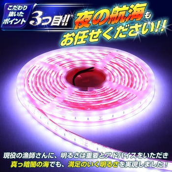 LEDテープライト SMDタイプ 5m 最強 防水 24v 専用 竹村商会