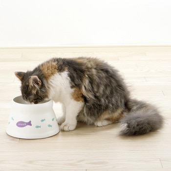 こぼれにくい 脚付キャットディッシュ S ホワイト Richell(リッチェル)