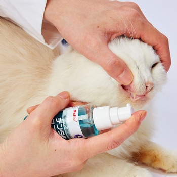デンタルスプレー 50ml Petio