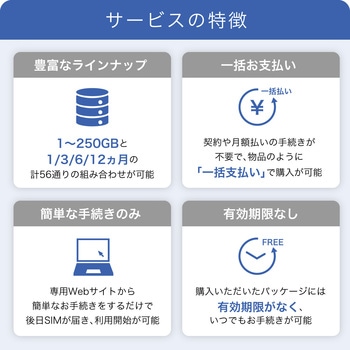IIJモバイルサービス/タイプD for IIJmio Biz プリペイドSIM - IIJ