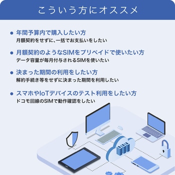 IIJモバイルサービス/タイプD for IIJmio Biz プリペイドSIM - IIJ