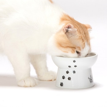 ハッピーダイニング 猫用 脚付フードボウル レギュラー 猫柄 猫壱