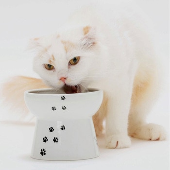 ハッピーダイニング 猫用 脚付フードボウル L 猫柄 猫壱