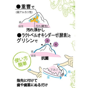 歯みがきジェル 40ml ペッツルート