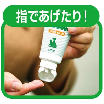 PETKISS 歯みがきジェル リーフの香り 40g PETKISS