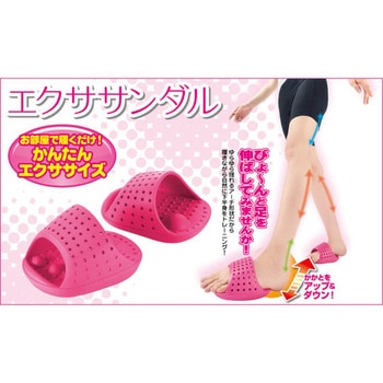エクササンダル セーブインダストリー