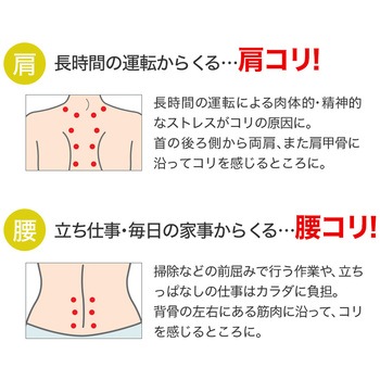 チタンバン ファイテン