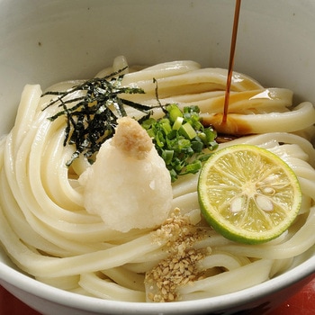 讃岐生うどん10食セット 瀬戸内讃岐工房