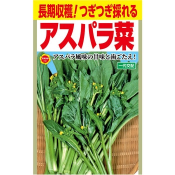 【タネ】 長期収穫!つぎつぎ採れる アスパラ菜 アタリヤ農園
