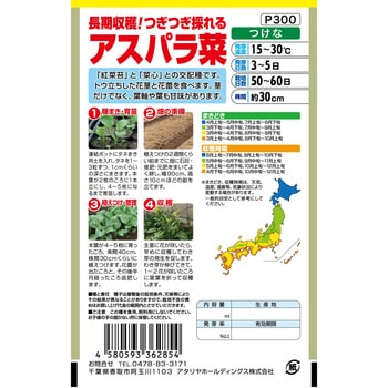 【タネ】 長期収穫!つぎつぎ採れる アスパラ菜 アタリヤ農園
