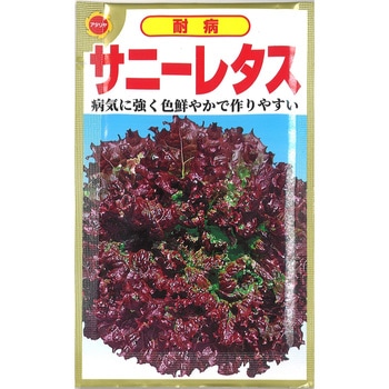 【タネ】 耐病 サニーレタス アタリヤ農園