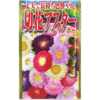 【タネ】 丈夫で長持ち色鮮やか 切花アスター レインボー アタリヤ農園