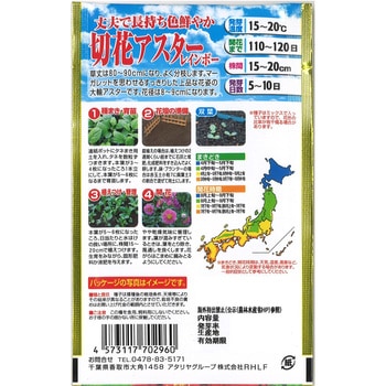 【タネ】 丈夫で長持ち色鮮やか 切花アスター レインボー アタリヤ農園