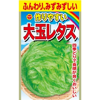 【タネ】 作りやすい 大玉レタス アタリヤ農園