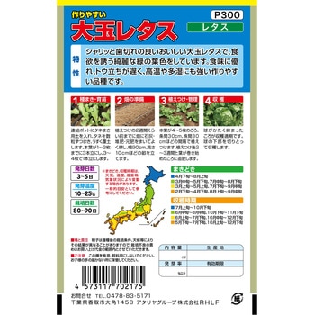 【タネ】 作りやすい 大玉レタス アタリヤ農園