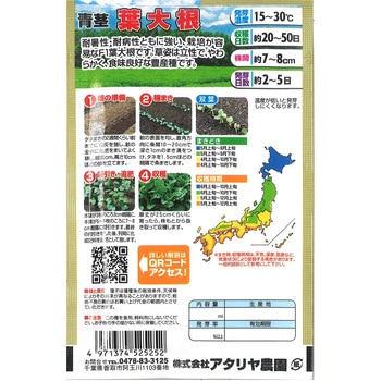 【タネ】 日本の野菜 葉大根 アタリヤ農園
