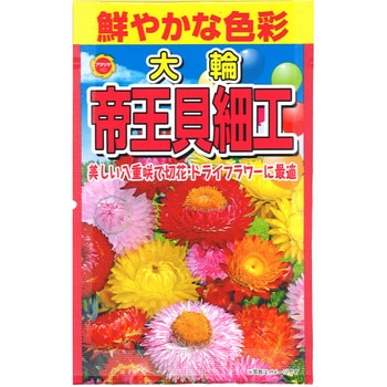 貝細工 ドライフラワー ヘリクリサム 花材詰め合わせ 虚し