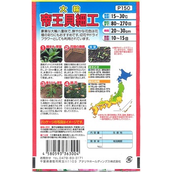 【タネ】 鮮やかな色彩 大輪 帝王貝細工 アタリヤ農園