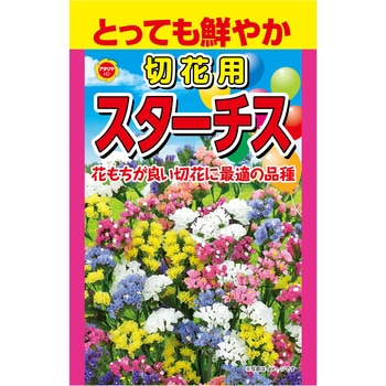【タネ】 とっても鮮やか 切花用 スターチス アタリヤ農園