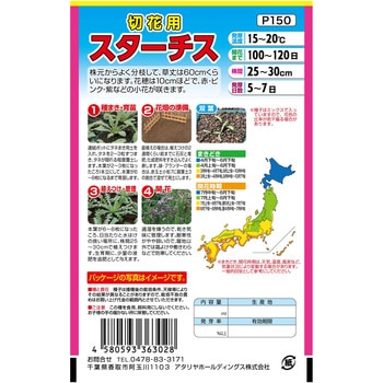 【タネ】 とっても鮮やか 切花用 スターチス アタリヤ農園