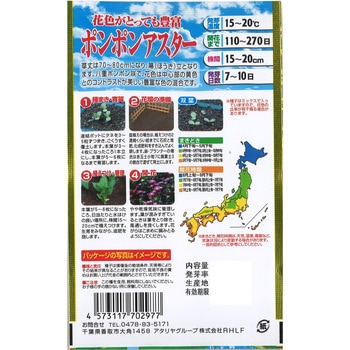 【タネ】 花色がとっても豊富 ポンポンアスター アタリヤ農園