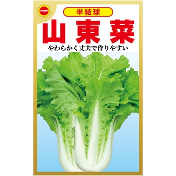CAT774465 【タネ】 山東白菜 1袋 アタリヤ農園 【通販モノタロウ】