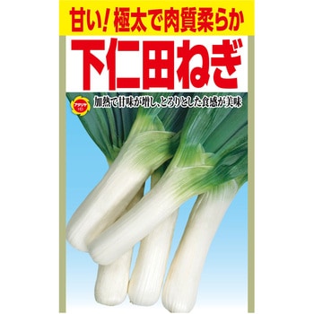 【タネ】 甘い!極太で肉質柔らか 下仁田ねぎ - アタリヤ農園