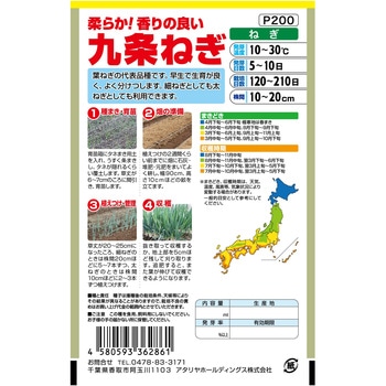 【タネ】 柔らか!香りの良い 九条ねぎ アタリヤ農園