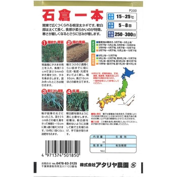 【タネ】 長ネギ 石倉一本 アタリヤ農園