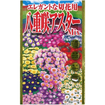 【タネ】 エレガントな切花用 八重咲アスター Mix アタリヤ農園