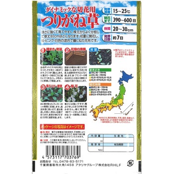 【タネ】 ダイナミックな切花用 つりがね草 アタリヤ農園