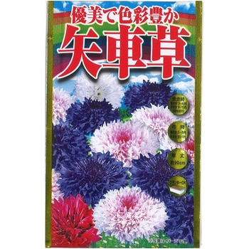 【タネ】 優美で色彩豊か 矢車草 アタリヤ農園