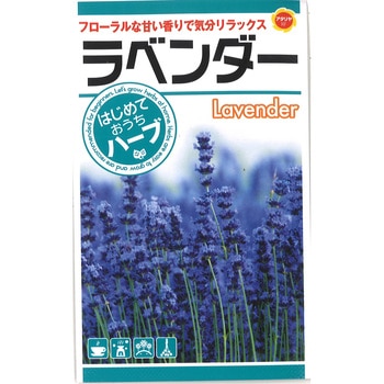 【タネ】 おうちでハーブ ラベンダー アタリヤ農園