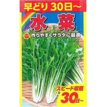 CAT694826 【タネ】 早どり水菜 1袋 アタリヤ農園 【通販モノタロウ】