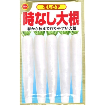 【タネ】 時なし大根 アタリヤ農園