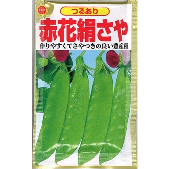 【タネ】 つるあり赤花絹さやえんどう アタリヤ農園
