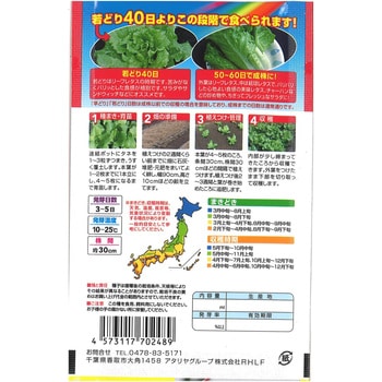 CAT694898 【タネ】 早どりミニレタス アタリヤ農園 1袋 CAT694898 【タネ】 早どりミニレタス アタリヤ農園 1袋