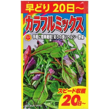 【タネ】 早どりカラフルミックス アタリヤ農園