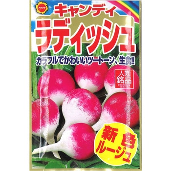 【タネ】 キャンデイラデイッシュ アタリヤ農園
