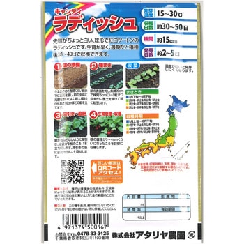 【タネ】 キャンデイラデイッシュ アタリヤ農園