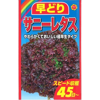 【タネ】 早どりサニーレタス アタリヤ農園